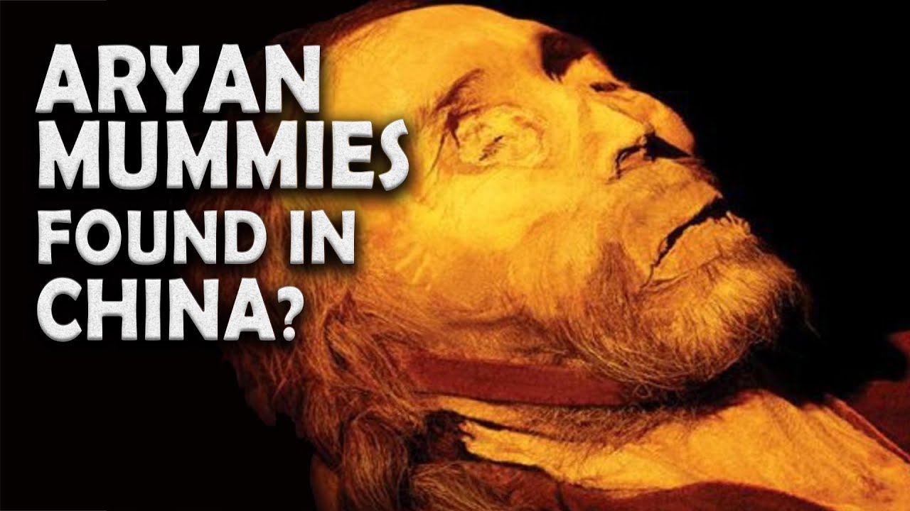 The 