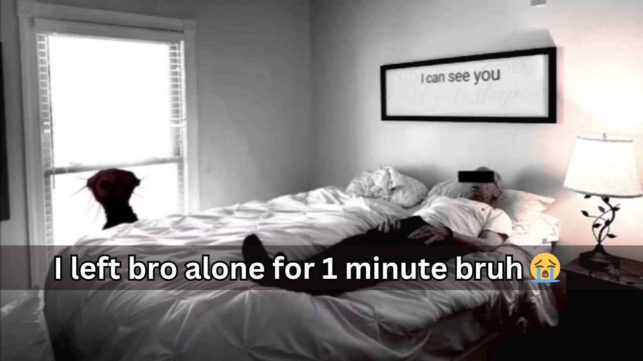 doctor nowhere memes that made me paralyzed