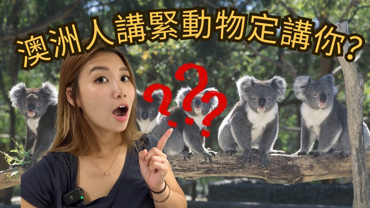 15 個你一定要識嘅澳洲動物英文 Slangs！🦘🐦 Aussie 唔係講緊動物？