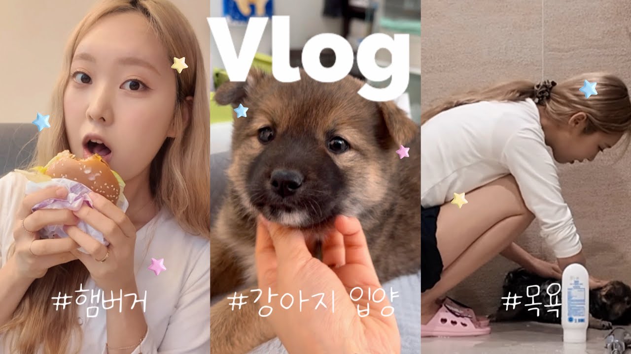유기견 입양한날,가족이 되기까지 | vlog,햄버거먹방,두번째 만남,보호소방문,집청소 대소동,강아지 목욕,첫식사(?),초보견주,일상,강아지입양,토마토 파스타,강아지이름,너무귀여워