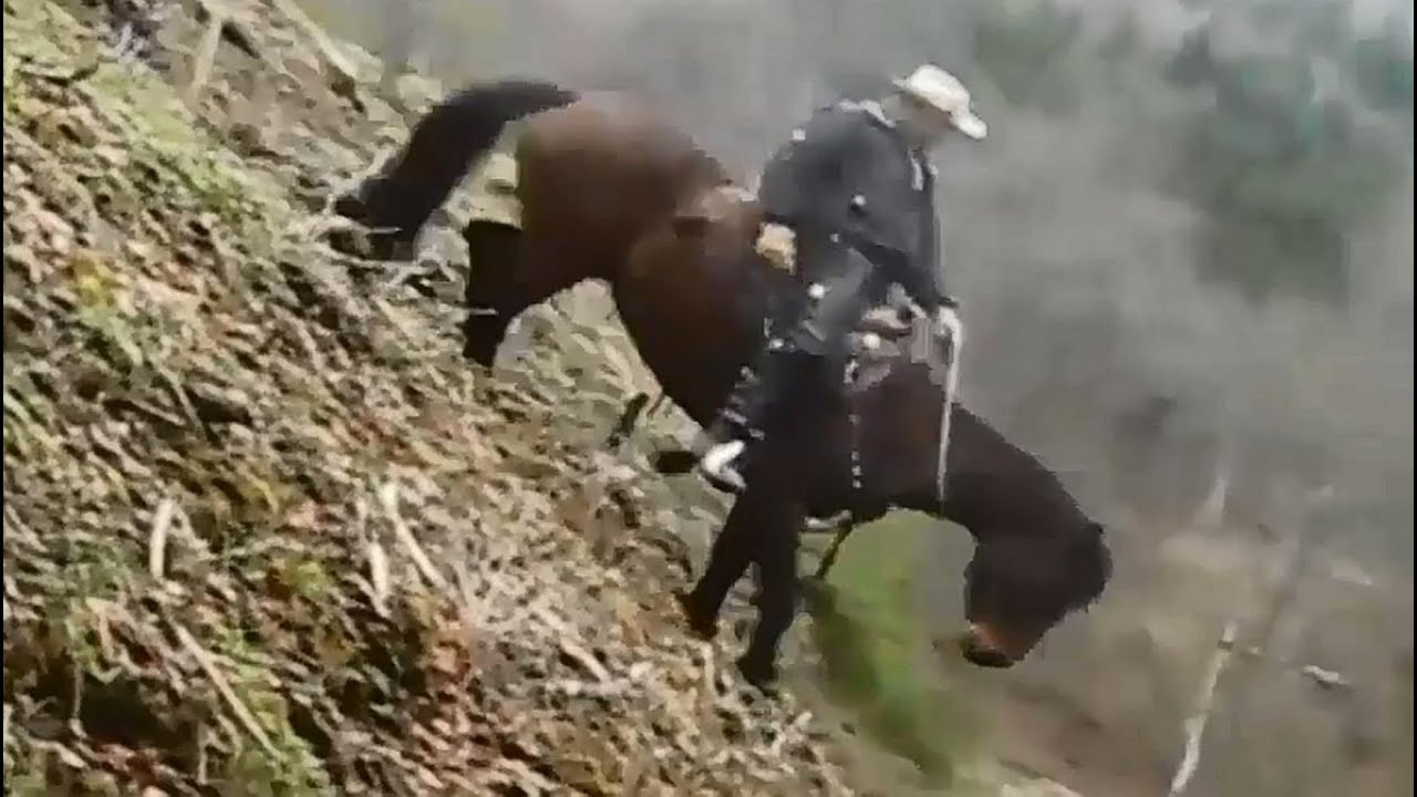 Extrem Horse Trail auf der Schwäbischen Alb Part 1