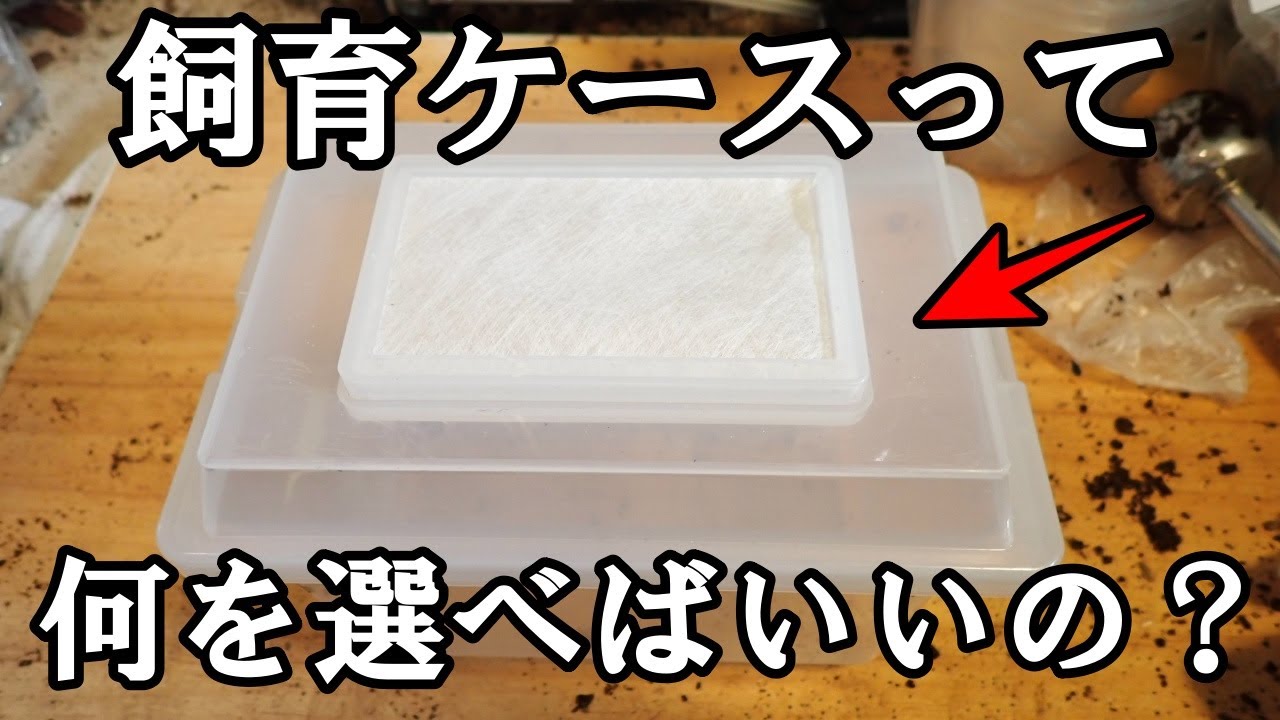 【ケース紹介】ケースって何を使えばいいの？