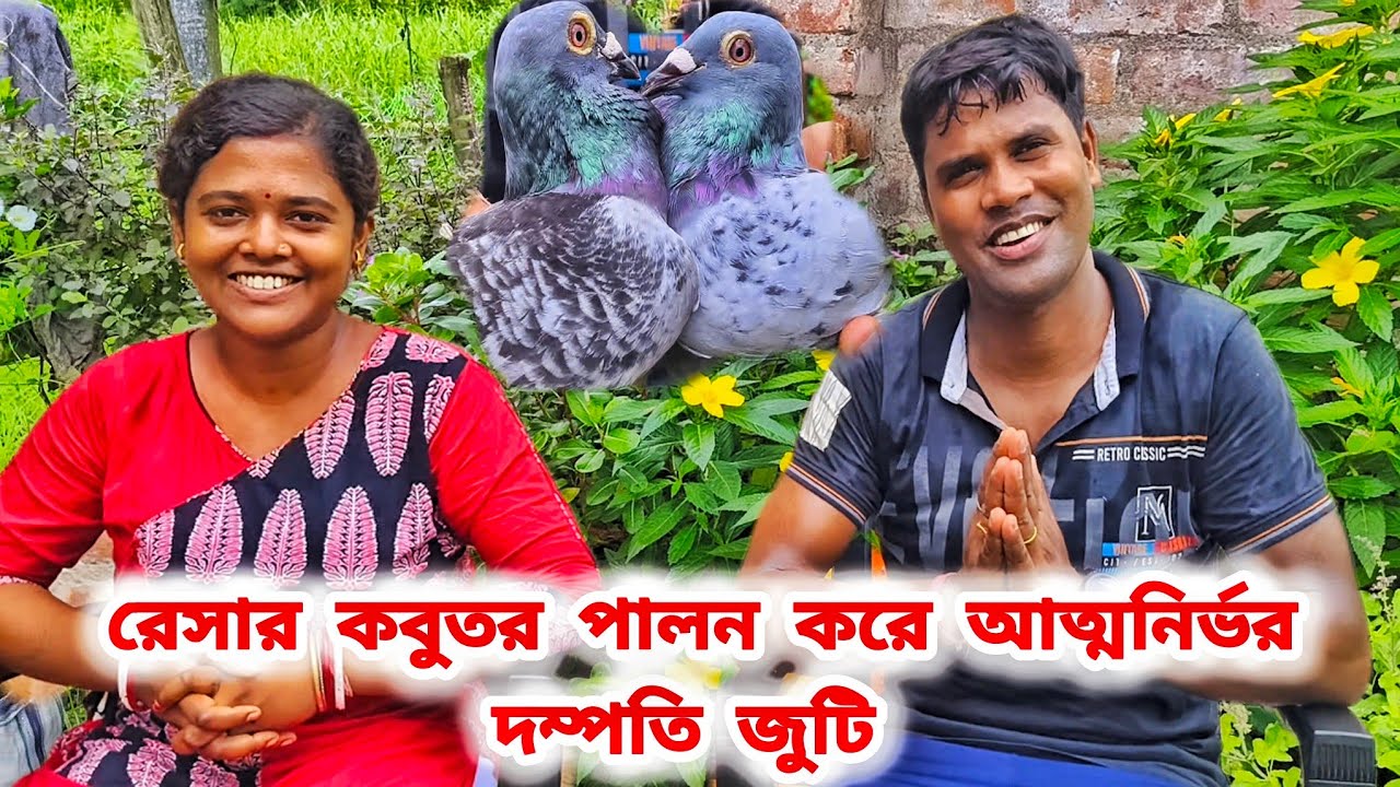 অশোকনগরের শিন্টুদার রেসার পায়রা।RACER KABUTOR LOFTS।@pigeonsloverrj9600