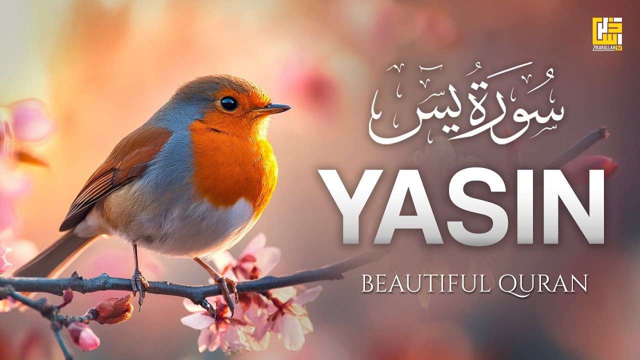 Surah Yaseen (Yasin) سورة يس | Peaceful Lofi Quran for Stress Relief & Comfort #quranforsleep
