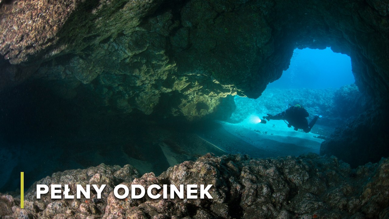 Przyrodniczy Raj na Bahamach | Nieodkryte Widoki 106
