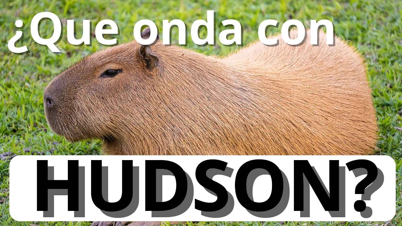URBES: HUDSON (Berazategui) #9