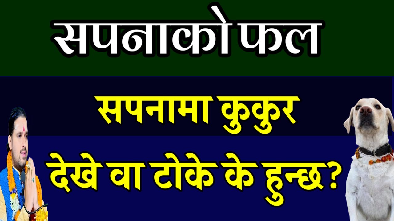 सपनामा कुकुर देखे के हुन्छ? / sapana ma kukur dekhe k hunxa