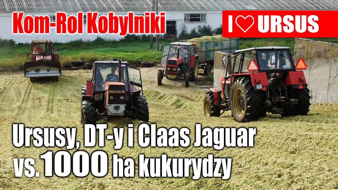 Ursusy, DT-y i Claas Jaguar vs.1000 ha kukurydzy - Kom-Rol Kobylniki