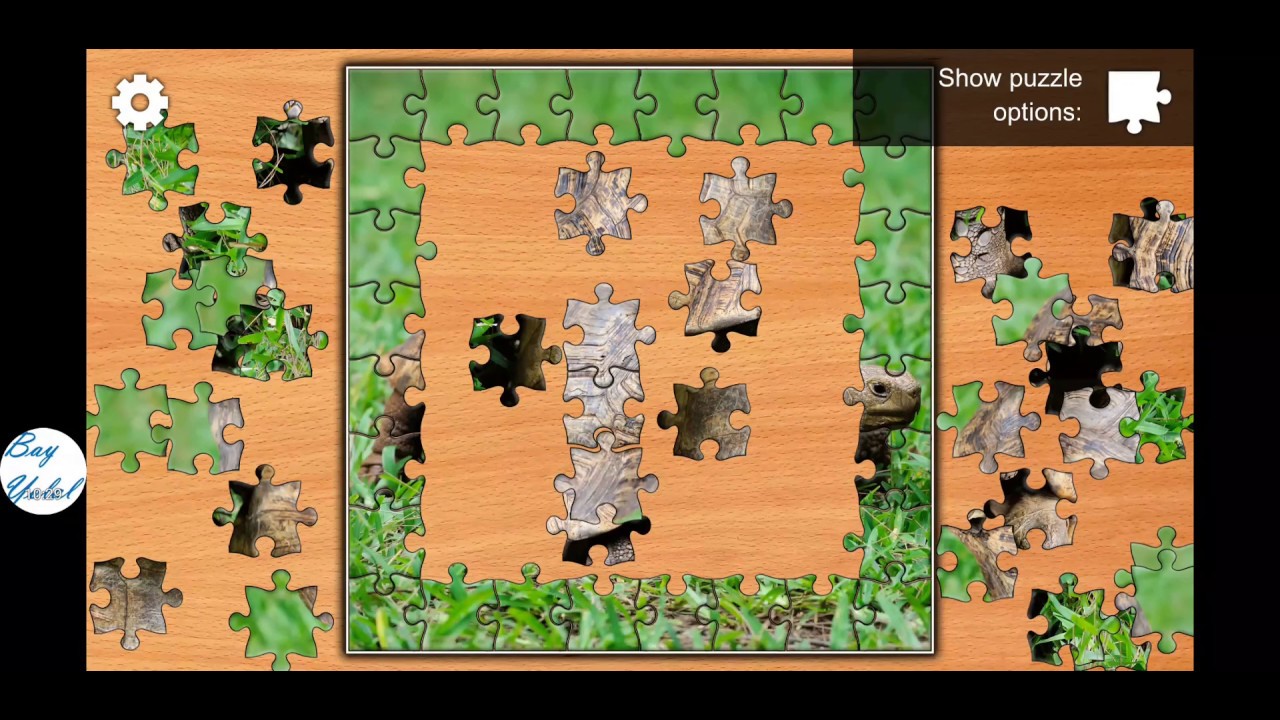 Jigsaw Puzzles Epic - One day Playing