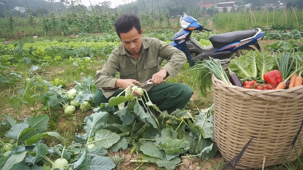 Harvesting Crisp Kohlrabi and Watching Father Make Handmade Baskets