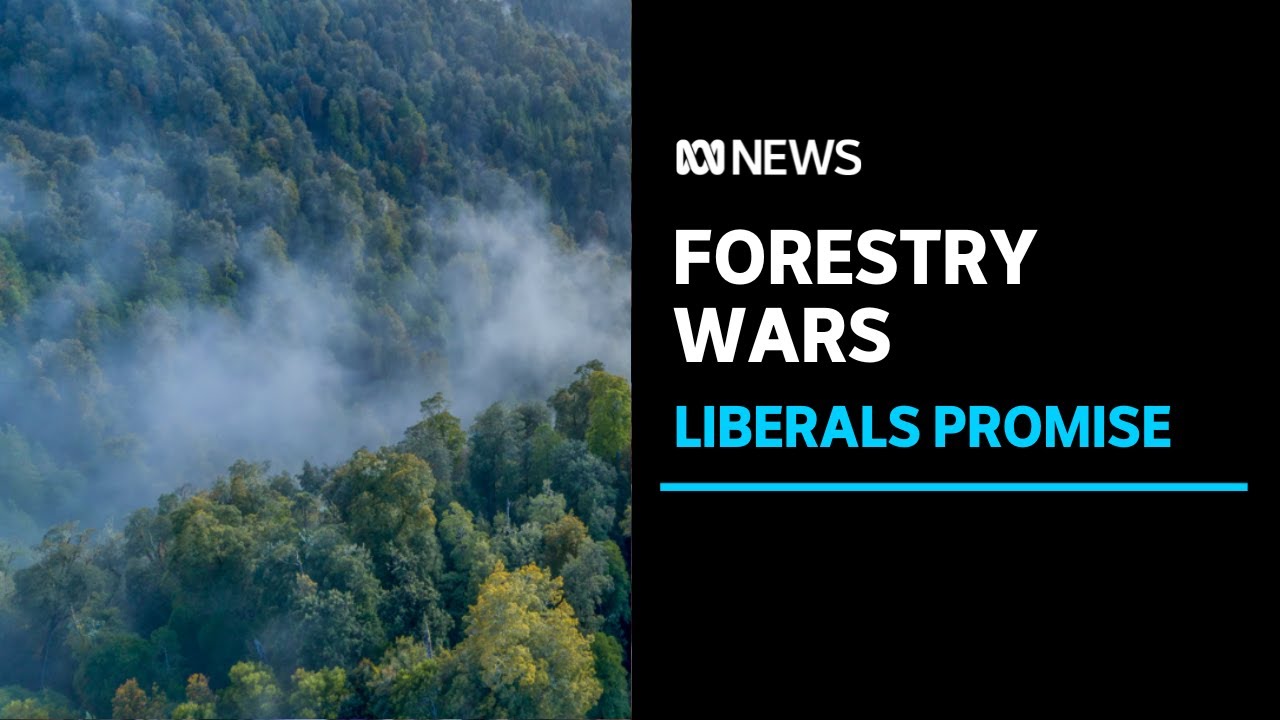 Liberals plan to give more Tasmanian native forest to loggers, but industry isn't on side | ABC News