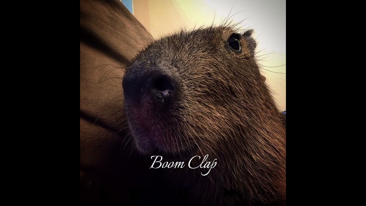 Charli XCX- Boom Clap (speed up)