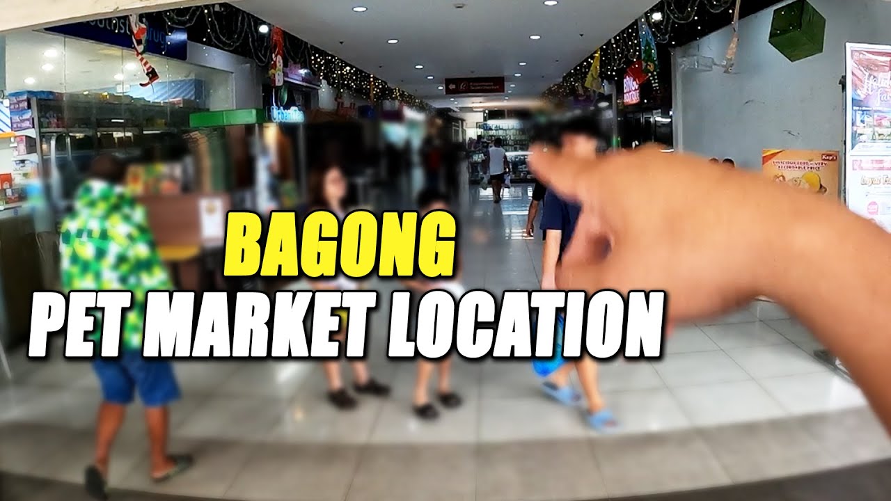 LIPAT NA TAYO NG PET MARKET LOCATION
