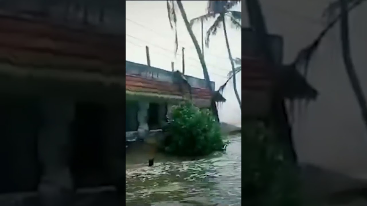 Cyclone Yaas Update - Today News