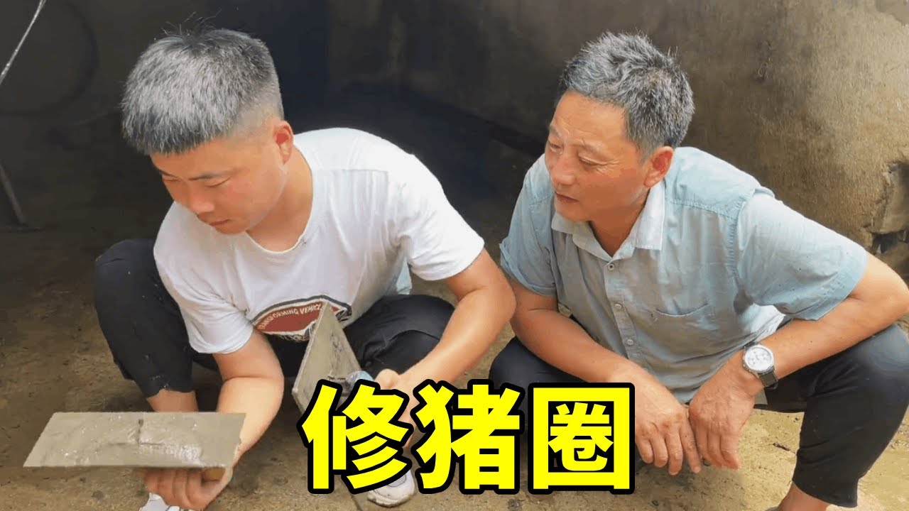 家里猪圈又坏了，跟老爸去给修补一下，还学到了一些手艺。#农村日常 #三农