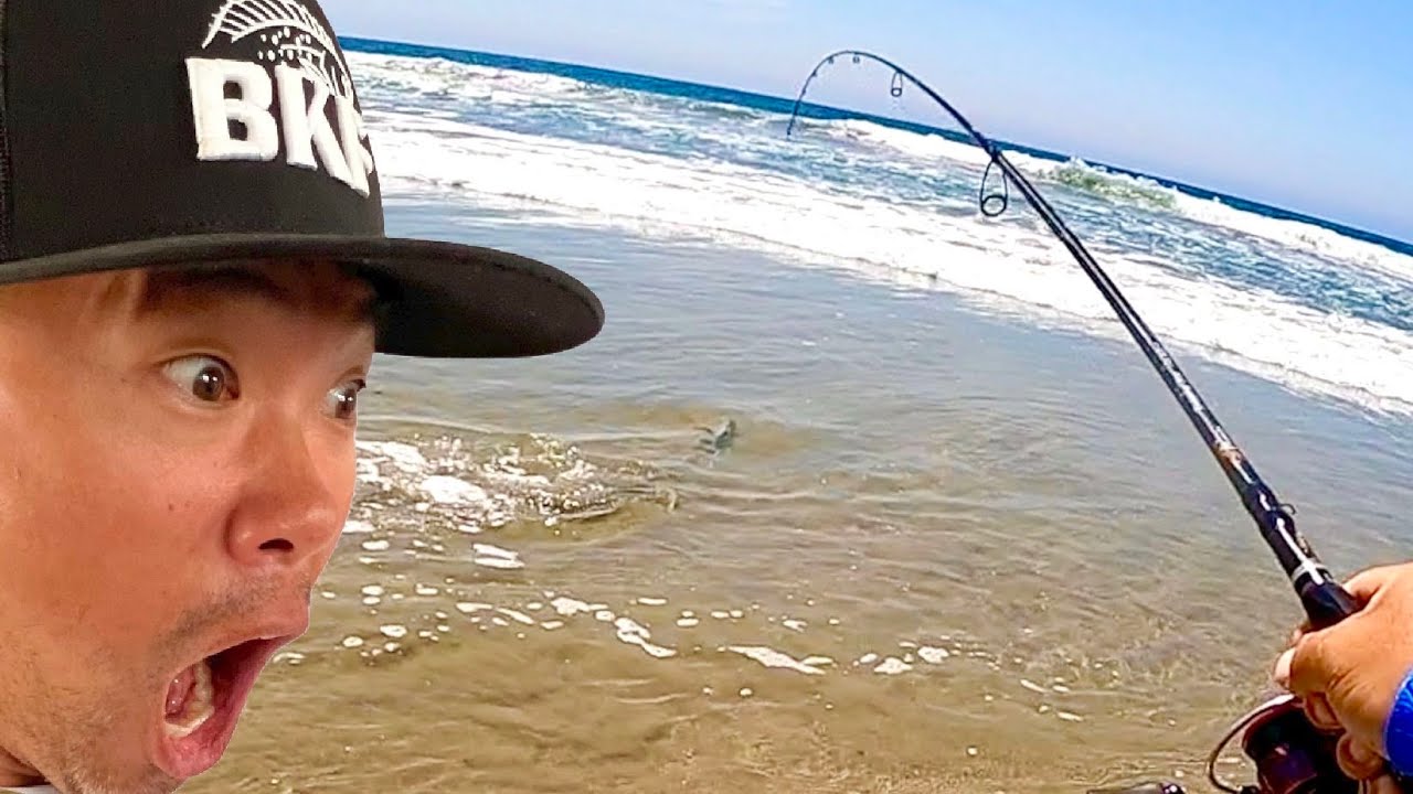 4 совета по ловле корбины в прибрежных водах Южной Калифорнии [личный рекорд!]