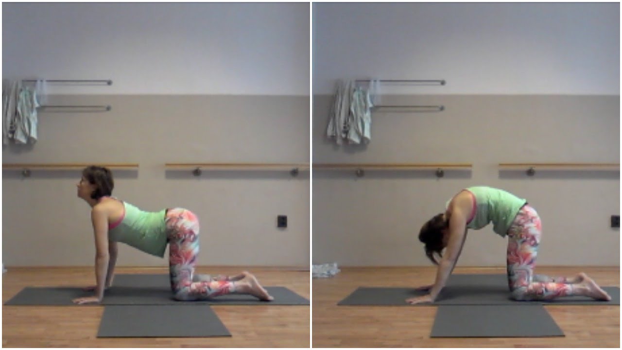 Ászanalexikon: Marjarasana- Macskapóz