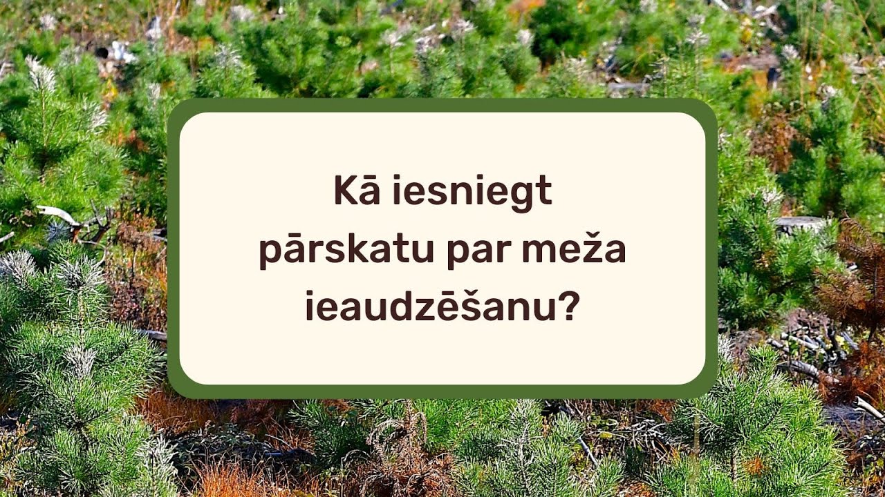 Kā iesniegt pārskatu par meža ieaudzēšanu