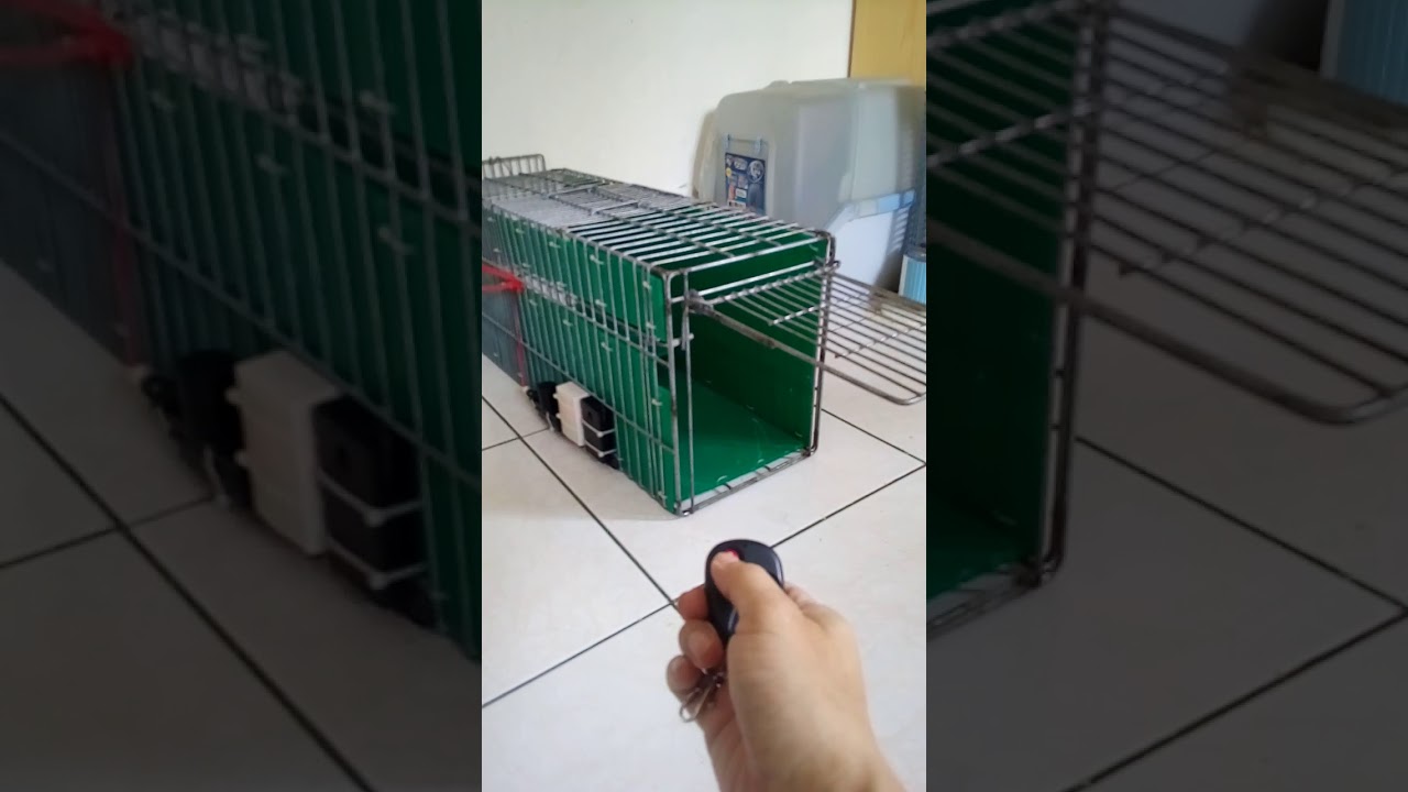 無線遙控誘捕籠Wireless remote control trapping cage