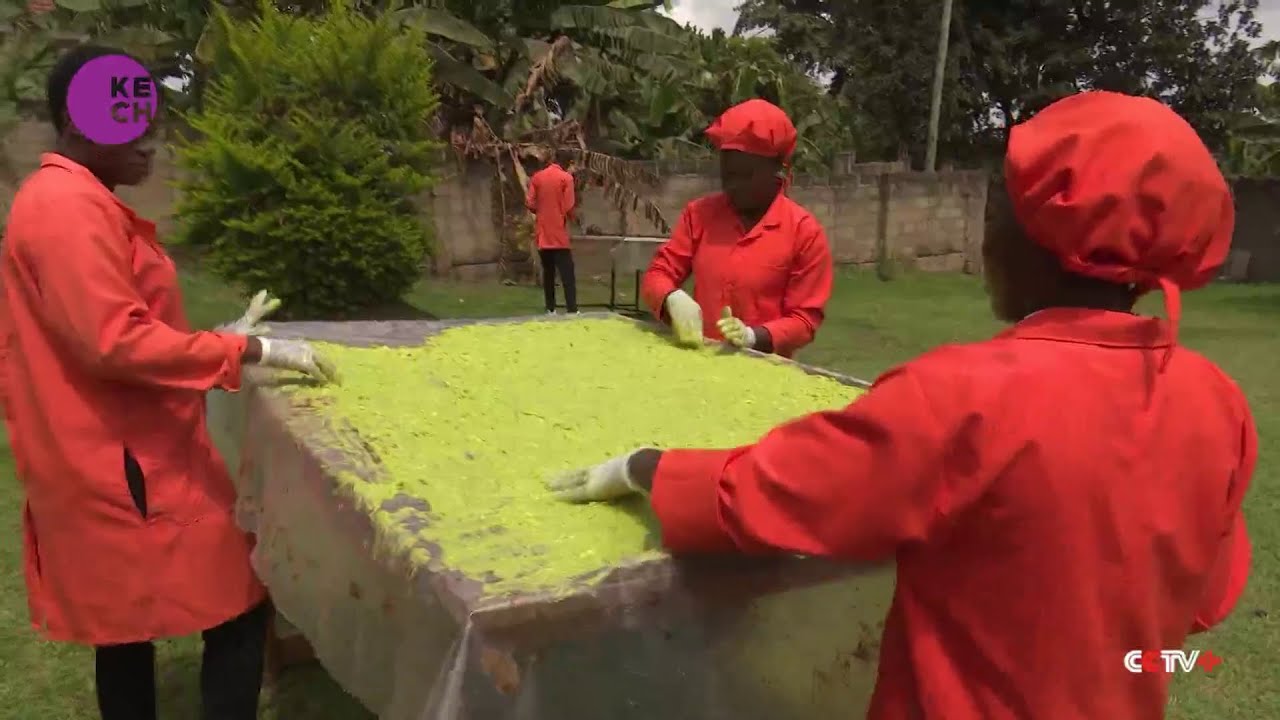Uganda turns to avocado oil to plug shortage amid Ukraine crisis