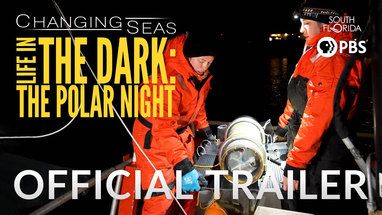 Life in The Dark: The Polar Night | Changing Seas | Preview