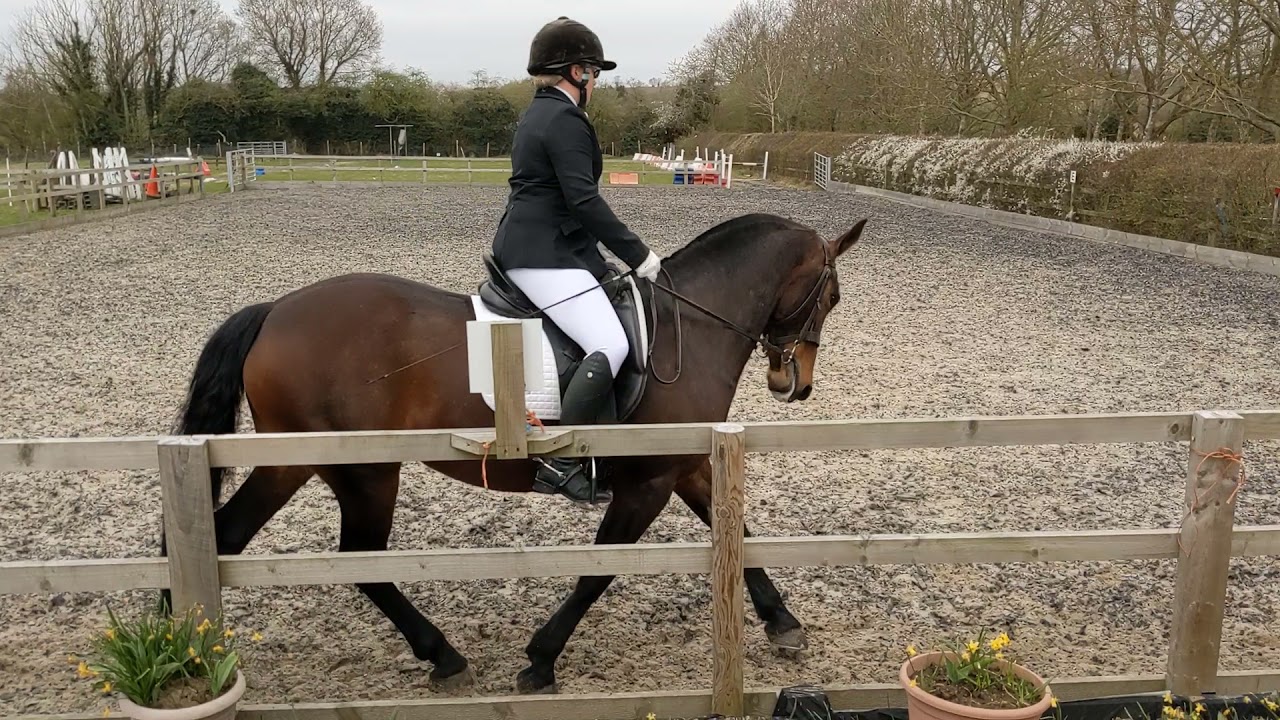 Katy Evans riding Crackle BRC Prelim D1 (2020) Novice Winter Dressage 2021 Championships