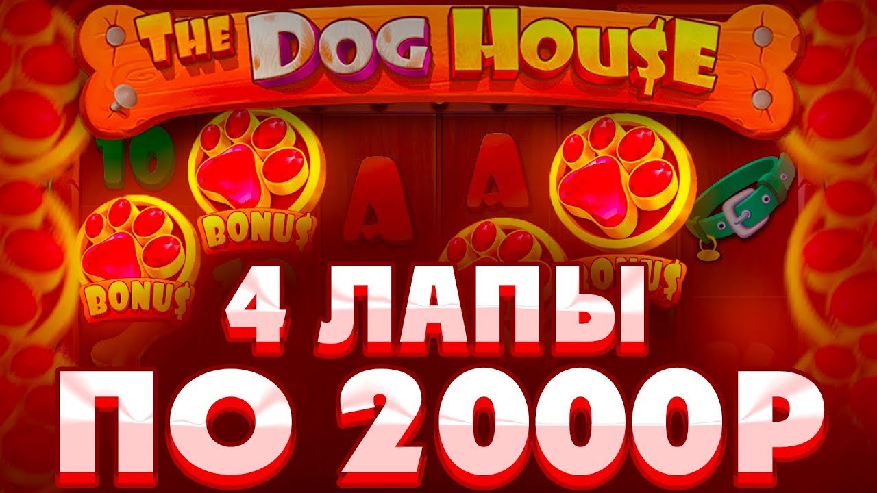 ПОДНЯЛИСЬ С 2.000р и СЛОВИЛИ 4 ЛАПЫ в DOG HOUSE / ДОГ ХАУС показал ЗАНОС МЕСЯЦА !