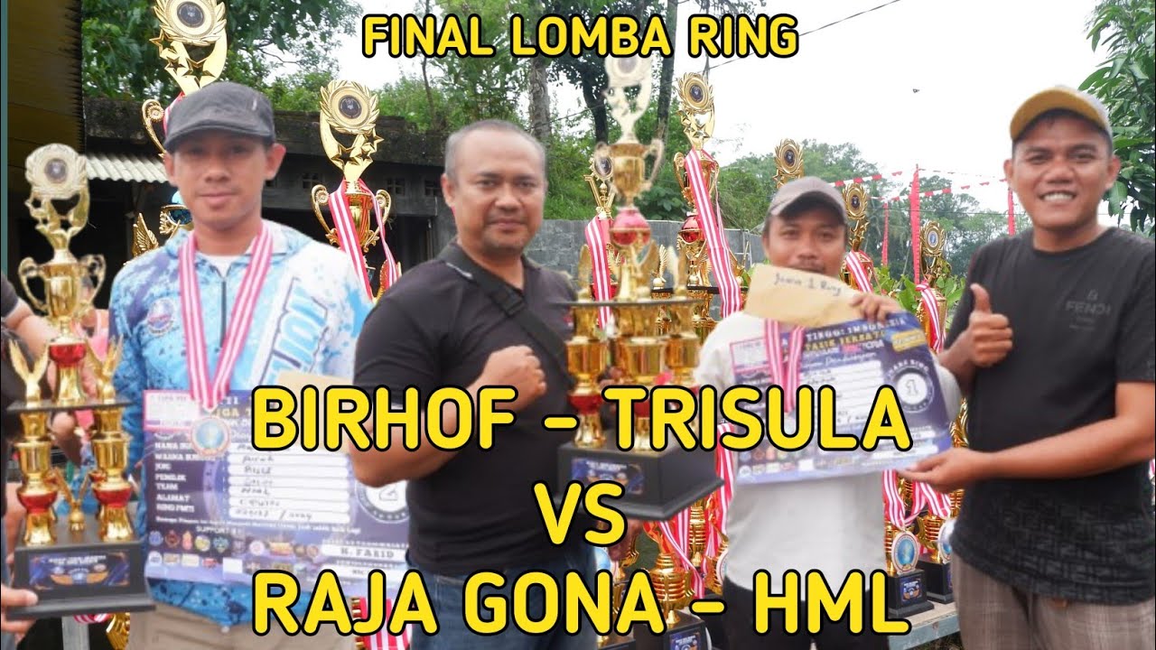 LIGA TASIK P 12 | LAPAK ACI MBC YORA | TARUNG BURUNG MUDA !!!