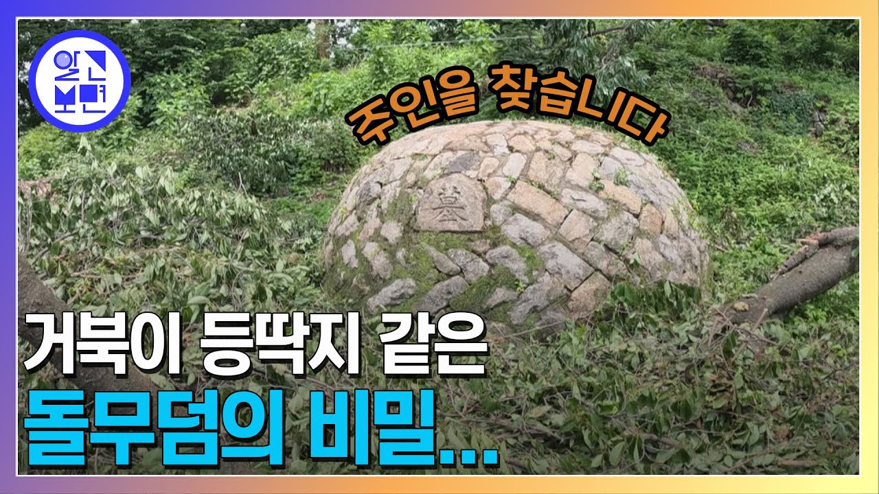대모산에 '墓' 한자가 떡하니 박힌 돌무덤의 정체는?