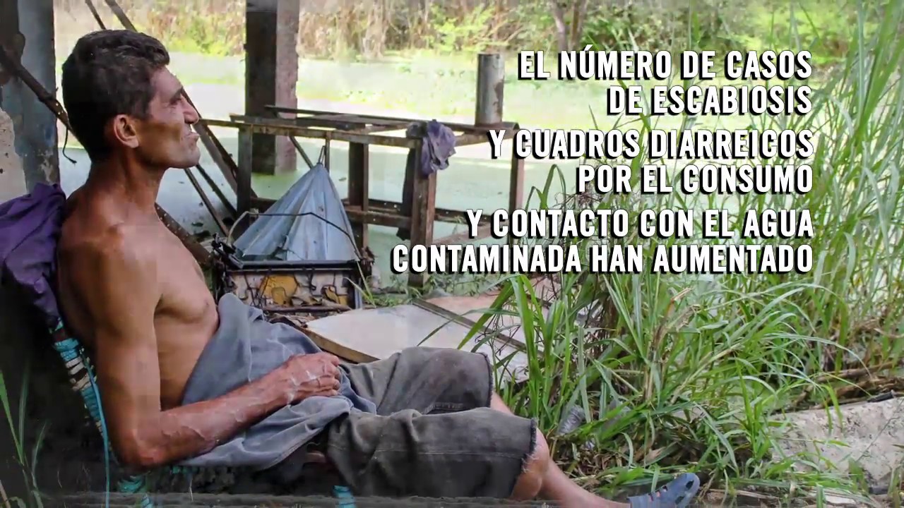 Lago de Valencia - Los muros no contienen los problemas