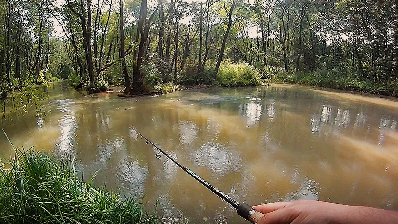 Czterdziestak z Białej Przemszy