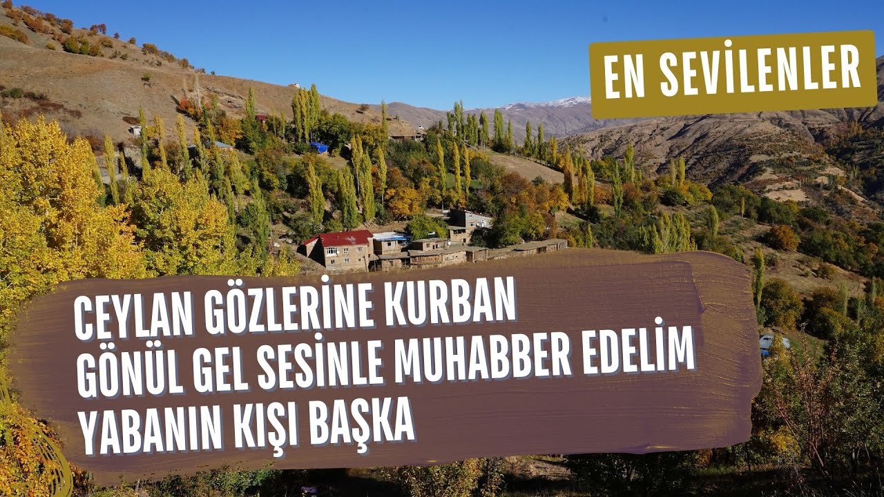 Ceylan Gözlerine Kurban, Gönül Gel Sesinle Muhabber Edelim, Yabanın Kışı Başka | 3 Türkü Bir Arada
