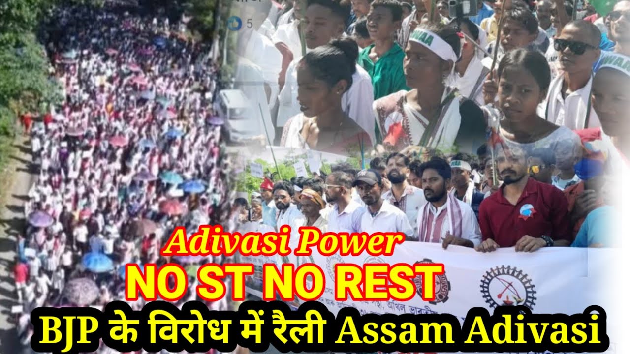 Adivasi Power  NO ST NO REST/bjp के विरोध में रैली 