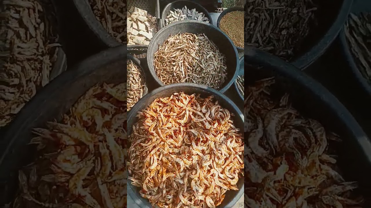 best dryfish  #BT dryfish #cutting videos  #village videos👍👌😍