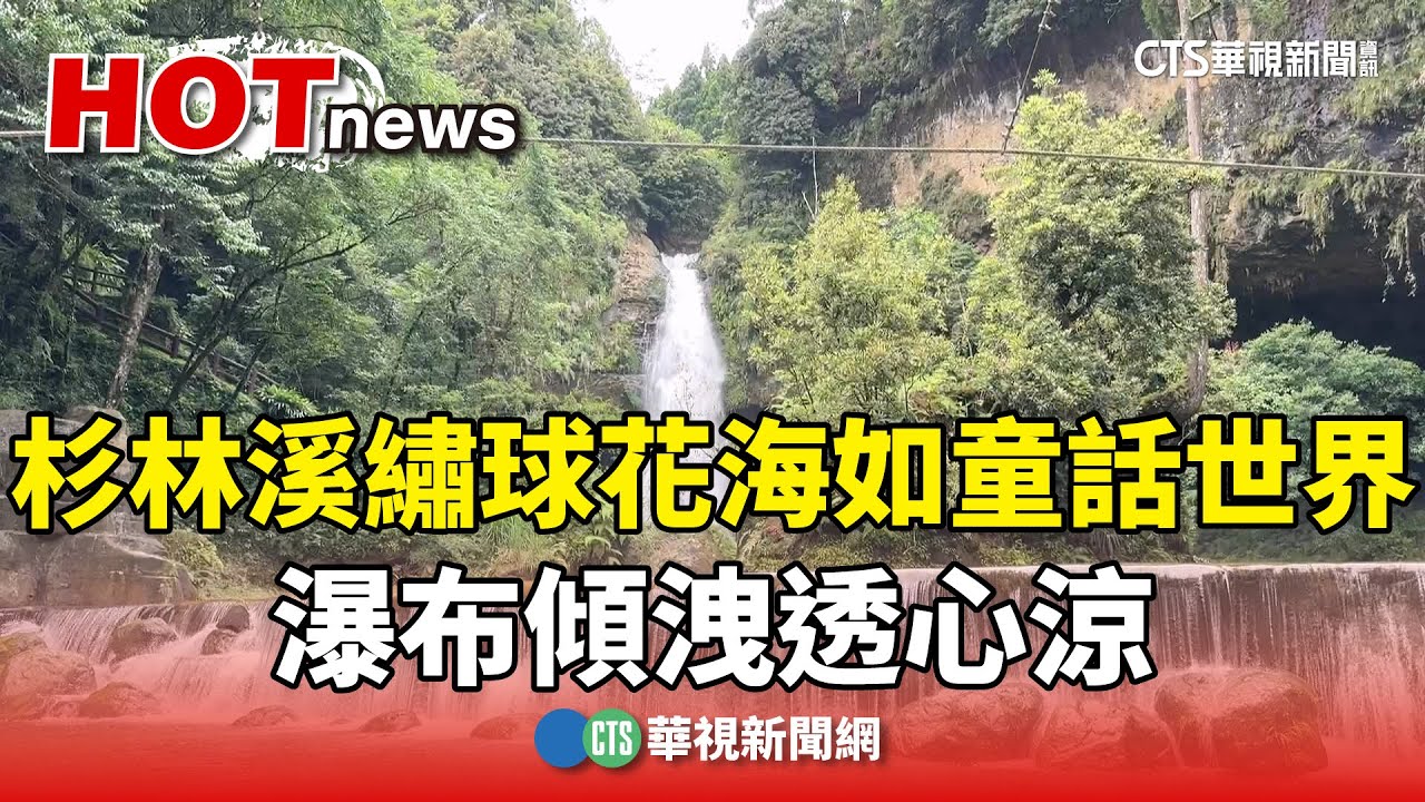 杉林溪繡球花海如童話世界　瀑布傾洩透心涼｜華視新聞 20250607 @CtsTw
