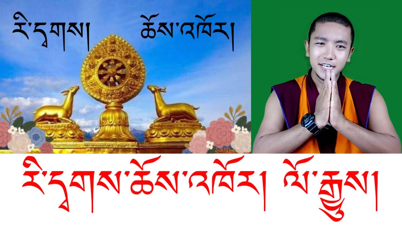 རི་དྭགས་ཆོས་འཁོར་གྱི་མཚོན་དོན་དང་། ལོ་རྒྱུས་ངོ་སྤྲོད།✌️