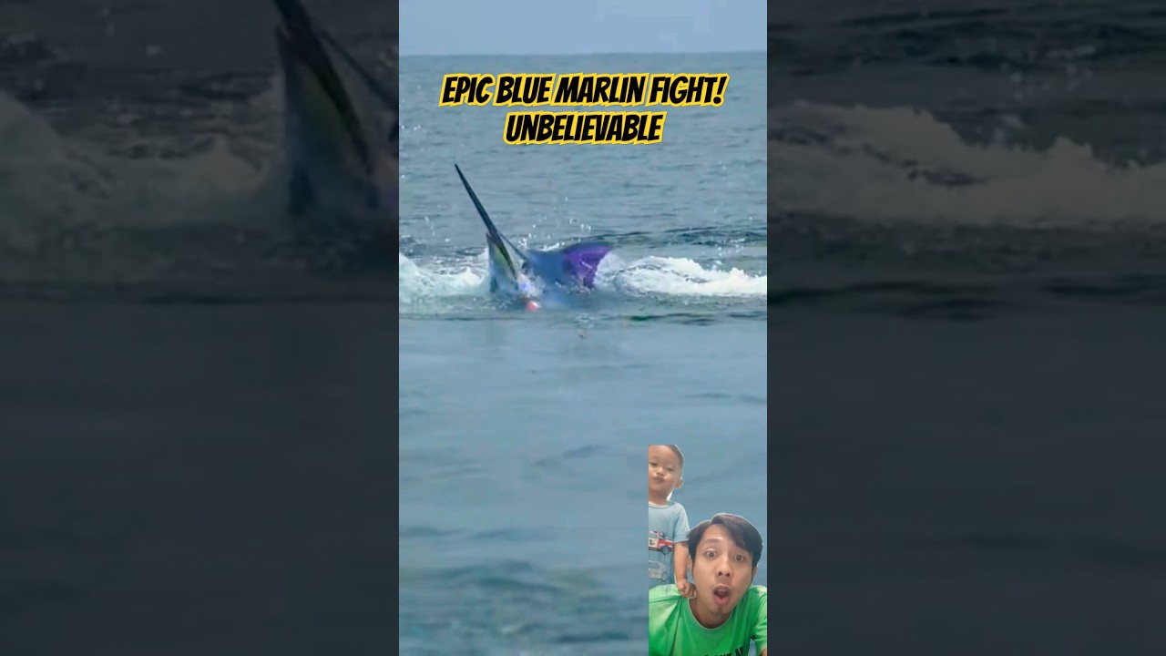 Epic Blue Marlin Fight! Unbelievable Fishing Action 🎣🔥 