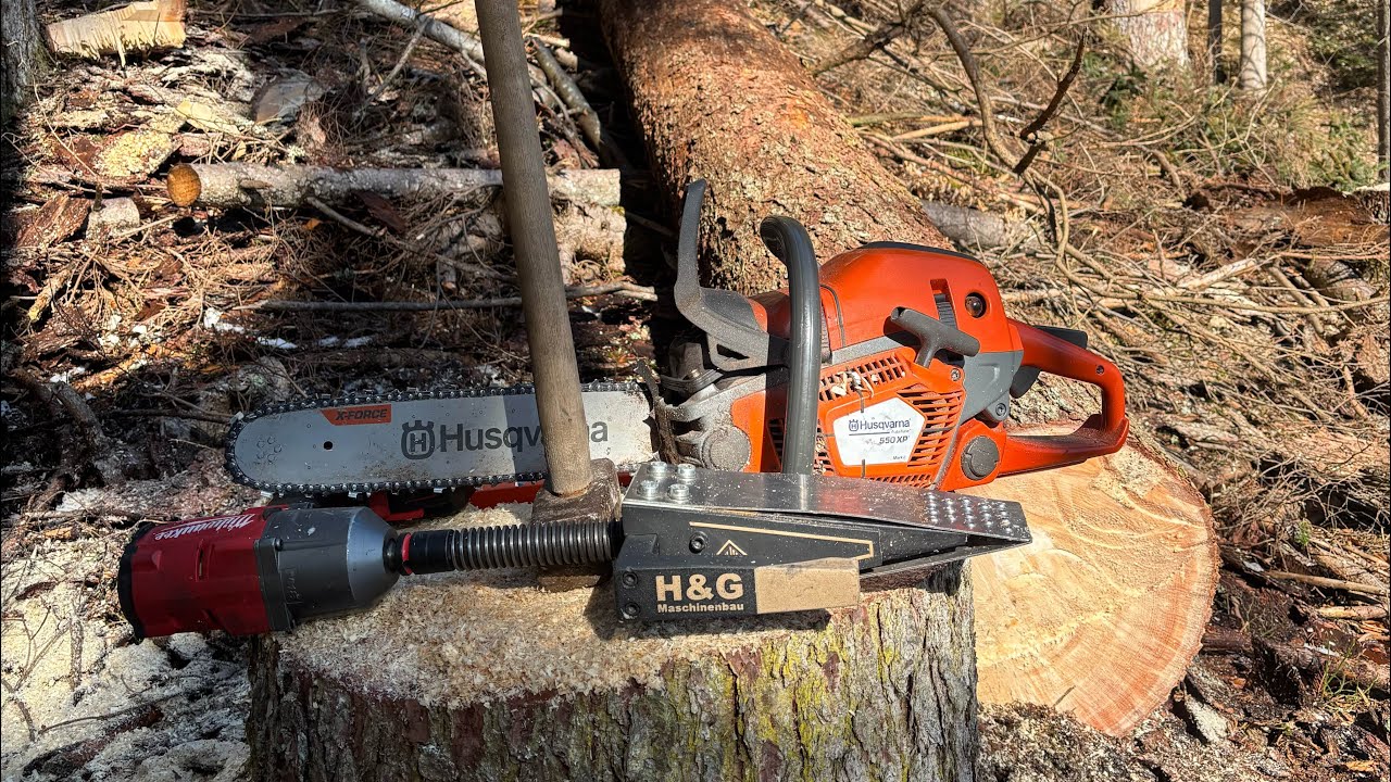 Käferholz fällen mit Husqvarna 550XP Mark 2 und  x6030 von HG Maschinenbau 🪓🌲
