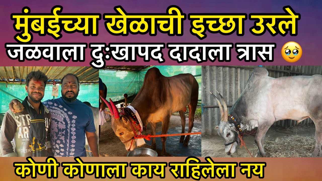 हेमंत दादा फुलोरे मुलाखात | मथुर किंवा सर्ज्या 1001 सोबत दिसेल का हरण्या | 2026 देसाई काय नियोजन ?🤔