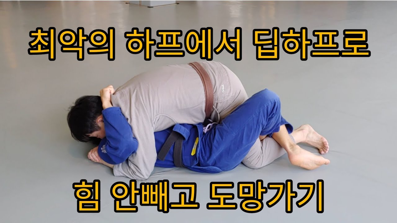 딥하프 세미나를 위한 하프가드 필수 지식 4