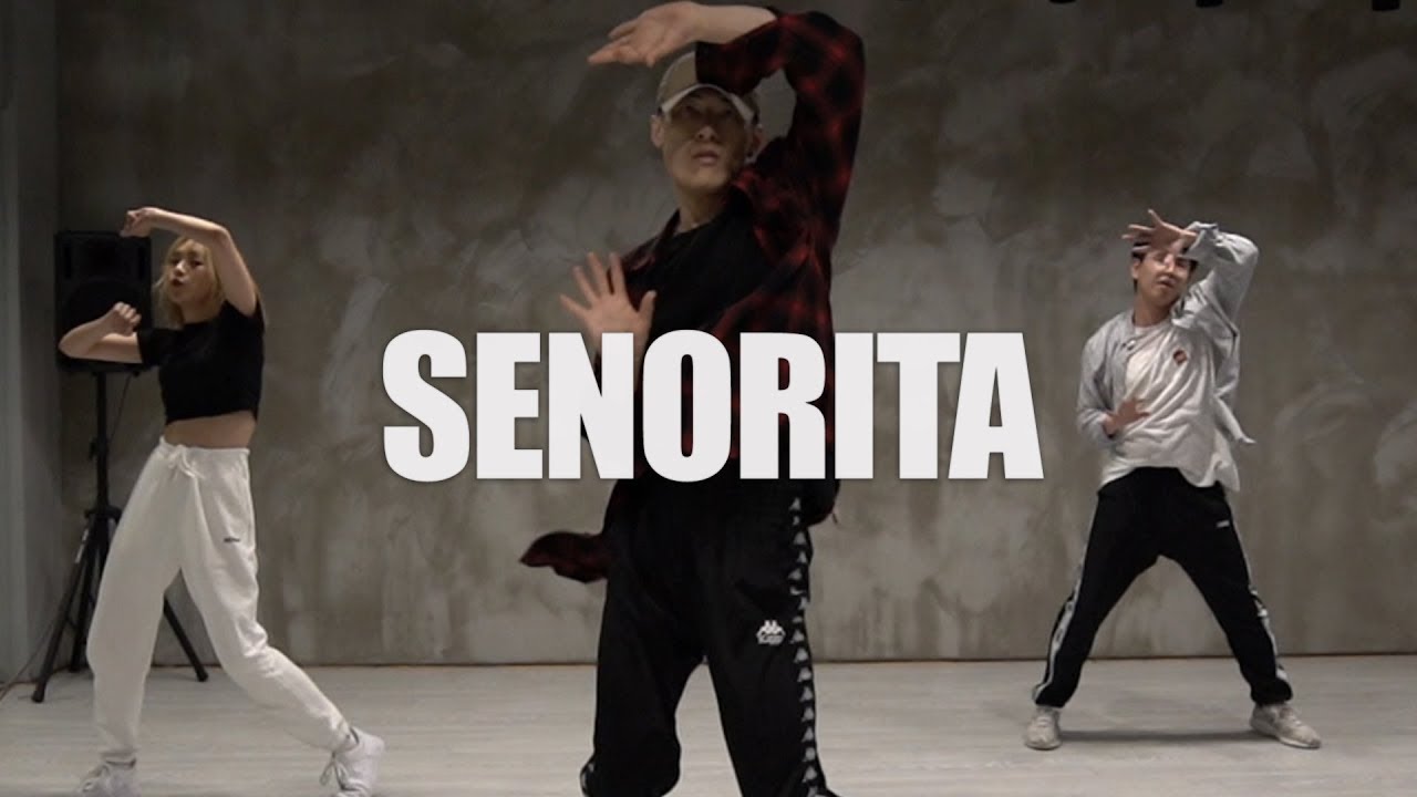 Shawn Mendes, Camila Cabello - Señorita / Jin.C choreography dance