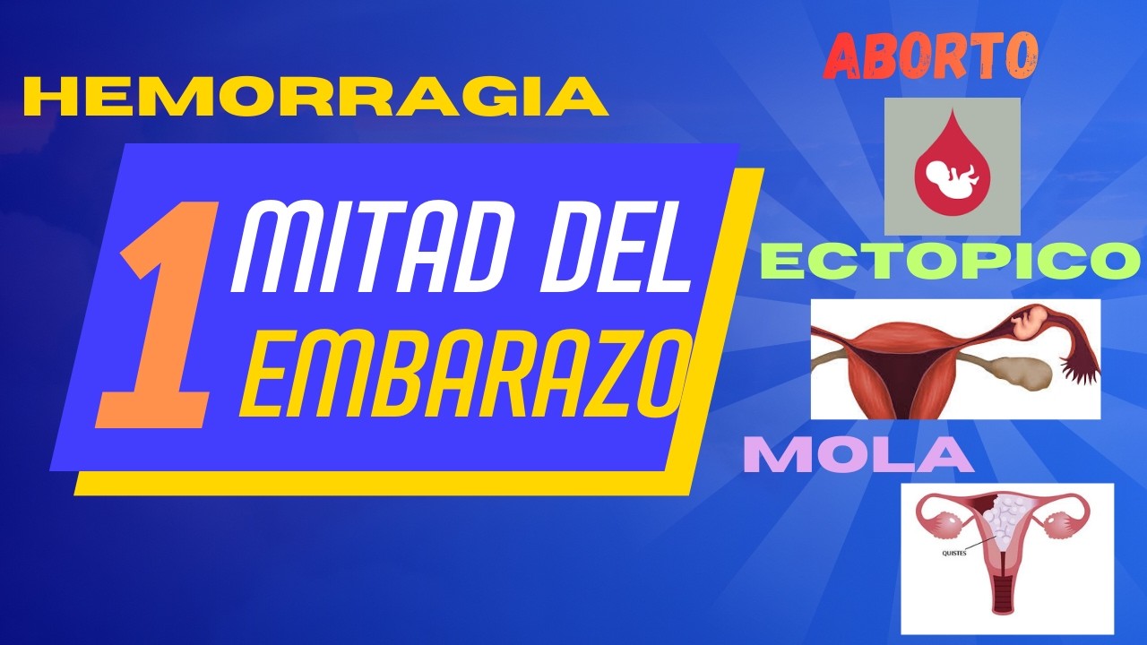 Hemorragia en el Primer Trimestre del Embarazo | Qx Medic