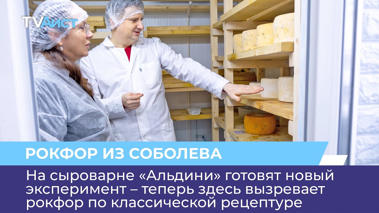 На сыроварне &laquo;Альдини&raquo; готовят новый эксперимент &ndash; теперь здесь вызревает рокфор