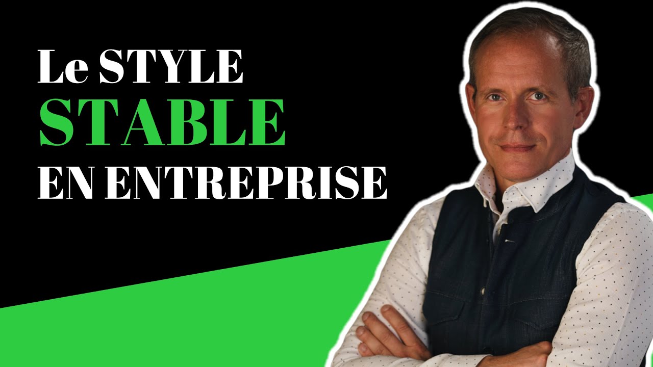 Le Profil DISC STABLE en entreprise (méthode DISC, personnalité ...)