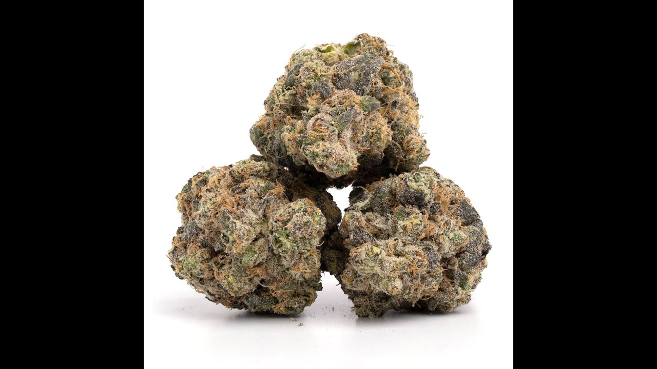 Lemon Cherry Gelato Strain