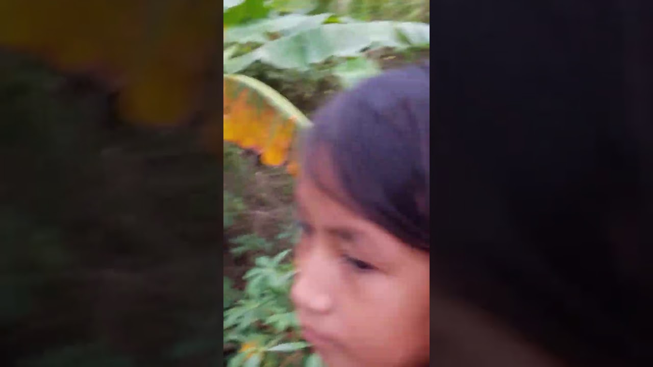 Dia makuha nman kami magulay
