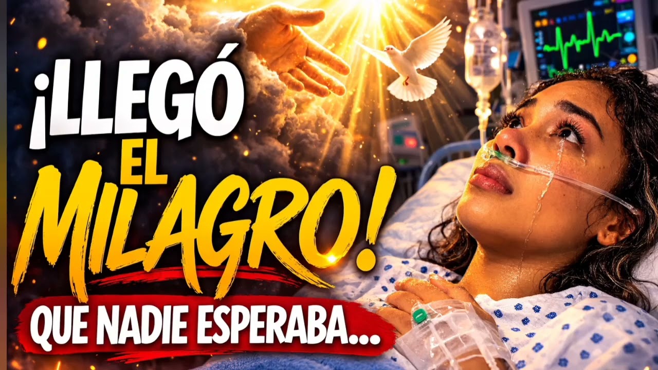 LLEGO EL MILAGRO