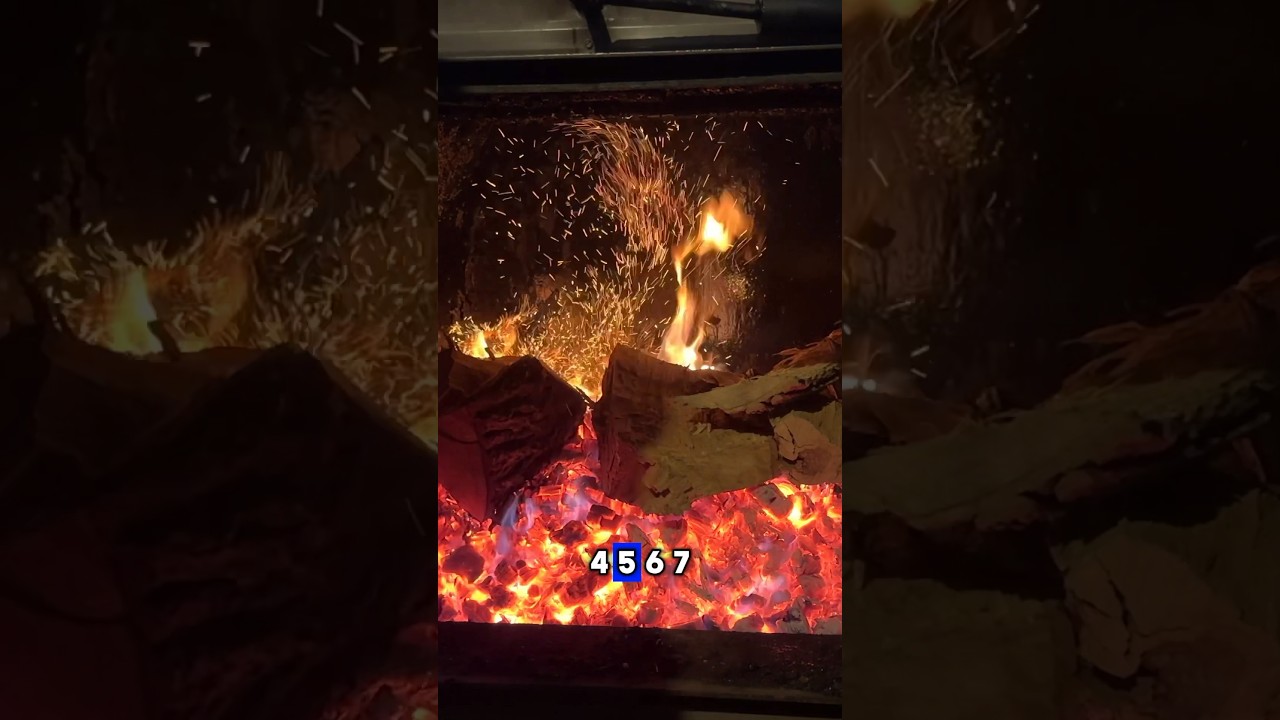 How Much Wood Does It Burn? #firewood #heat #wood  #boiler #burn