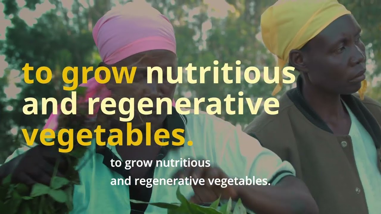 IKEA Foundation｜WORLDVEG