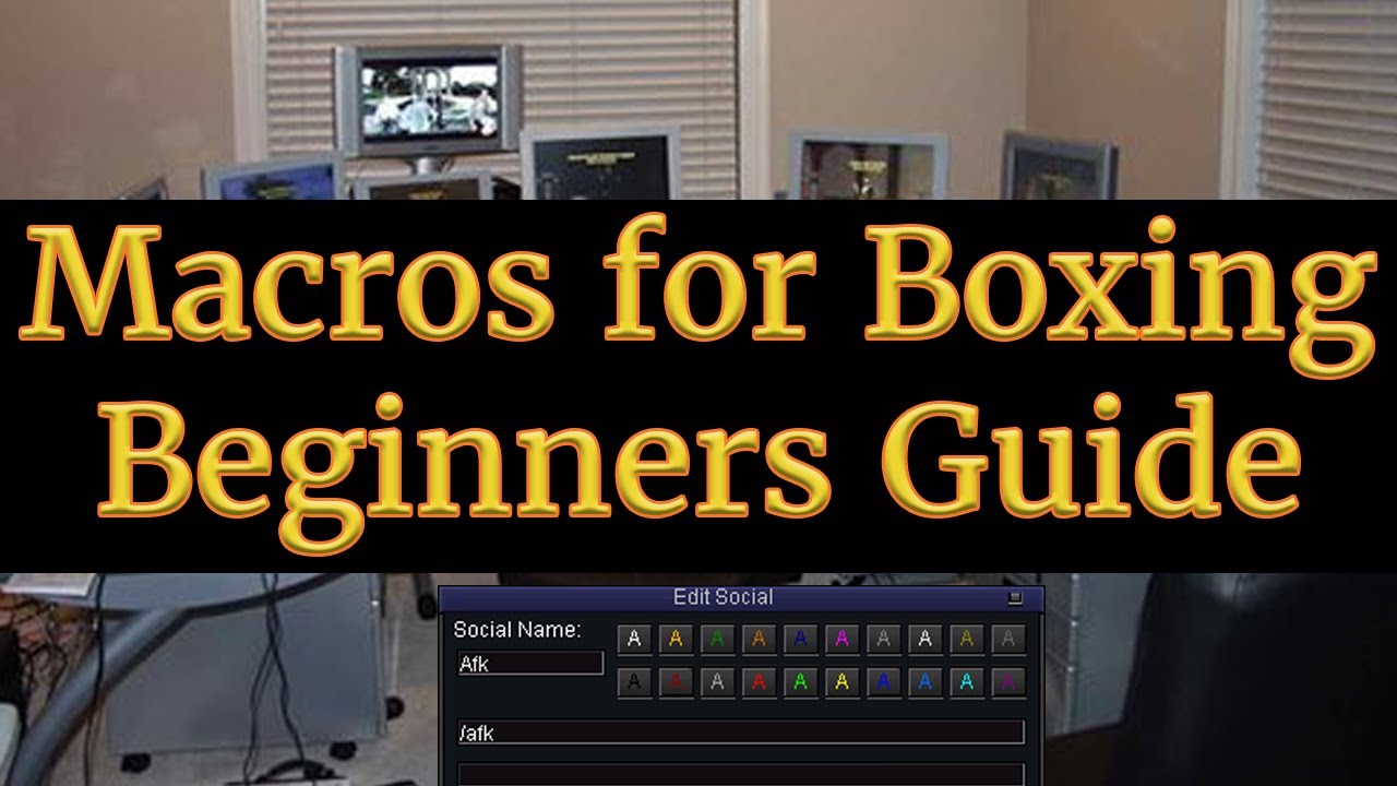 Macros for Boxing on Everquest TLP